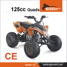 125cc-Mini 4-Wheeler Kid einsetzbar